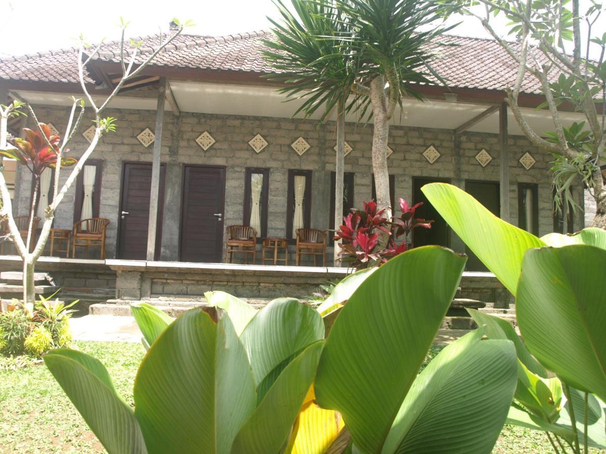 D'Sari Undisan Houses Bangli المظهر الخارجي الصورة